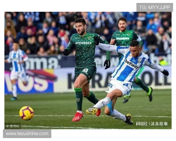 米特罗维奇进攻端作用与比赛影响力分析